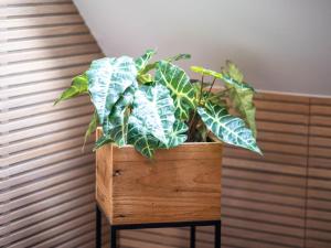 Apartment Schule Altes Land by Interhome