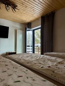 Cabana Bradul Adelinei