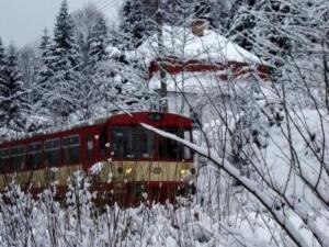 Apartment u Semushky by Interhome