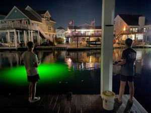 Agua Vista Waterfront ParadiseHot TubFishKayaks