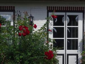 Apartment Zum Leuchtturm by Interhome