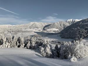 Gailerhof Boutique Hotel B&B Dolomites