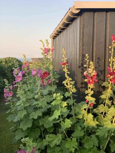 Charming Holiday Home With Baltic Sea Views