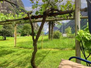 Apartment Casa Delia by Interhome