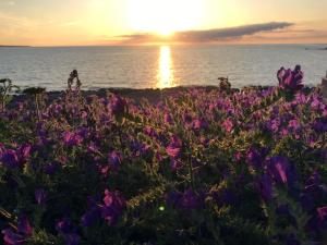 Villaggio Costa del Sole img32