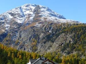 Apartment Chesa Tramèr by Interhome