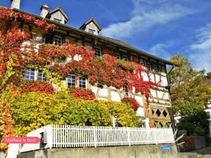 Apartment Les Mignardises by Interhome