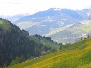 Holiday Home Altes Walserhaus by Interhome