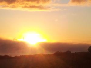 Holiday Home Elbufer 4C by Interhome