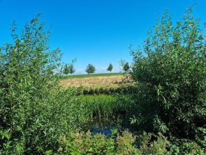 Holiday Home 4 Jahreszeiten by Interhome