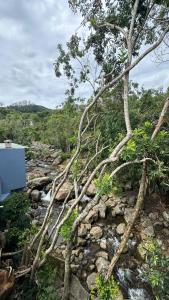 Suites da Bela 02 Caparaó