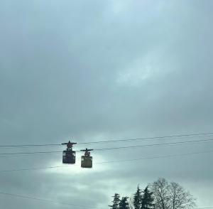 Aparthotel Green Flower