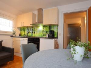 Apartment Donau-Quelle in Rietheim by Interhome