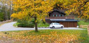 Romantisches Berg-Chalet