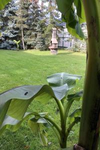 Holiday Home mit Garten- Grill und Terrasse by Interhome