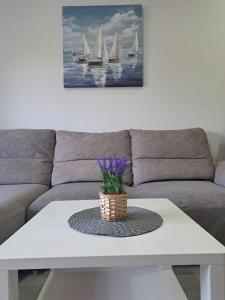 Apartment Medulin Tina