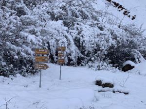 Bujtina Shpella e Plakës Çerçan