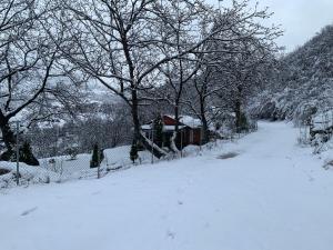 Bujtina Shpella e Plakës Çerçan