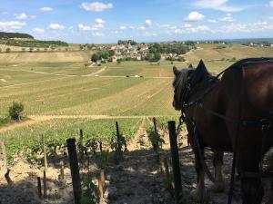 Maison Spacieuse et Lumineuse