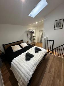 Duplex en hyper centre, calme, accès autonome