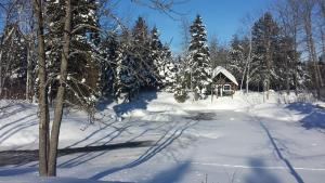 Chalet au cœur de la foret St-Prime
