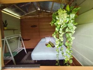 Arenal Rainforest # La cabaña