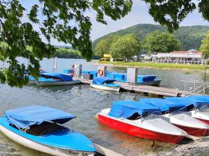 Apartment Top Ferienwohnung am Diemelsee- Sauerland Nähe Willingen Winterberg by Interhome