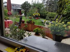 Apartment FeWo Sonnenblume by Interhome