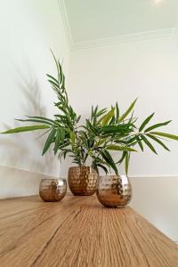 Apartment Haus Starkenburg by Interhome