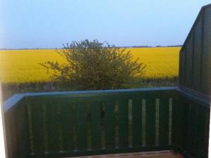 Holiday Home Seeschwalbe by Interhome