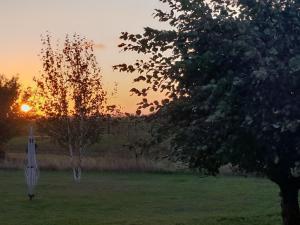 Holiday Home Seeschwalbe by Interhome