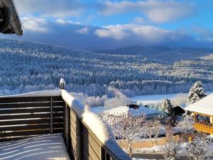 Apartment BayVista- die Bayerwald Lodge mit Bergblick by Interhome