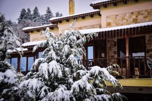 Aetoma Suites Orini-Korinthia Greece