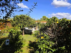 Casita with spacious private garden and jacuzzi