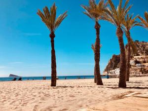 Apartment für 4 Personen ca- 80 m² in Benidorm- Mittelmeerküste Spanien - Costa Blanc by Interhome