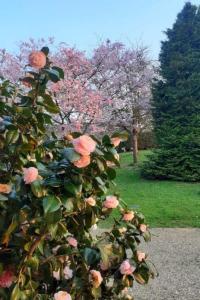 Holiday Home Normannisches Ferienhaus mit Charme les châtaigniers 1 Zimmer by Interhome