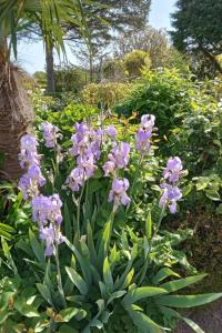 Holiday Home LES CHARMILLES by Interhome