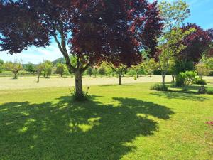 Holiday Home im Périgord in Saint-Cybranet by Interhome