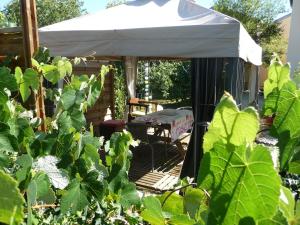 Apartment Domaine Chez Marianne mit Privatparkplatz by Interhome