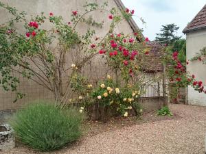 Holiday Home Maison le Pressoir in Vallières-les-Grandes by Interhome