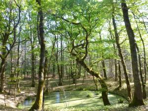 Holiday Home Fachwerkhaus gitealienor perigord by Interhome