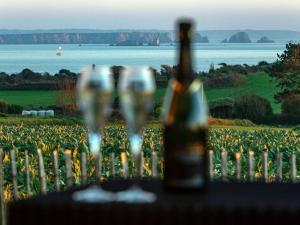 Holiday Home Villa mit Meerblick und privatem Spa - les gîtes de Fabie by Interhome