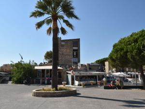 Apartment Le Provence Plage by Interhome