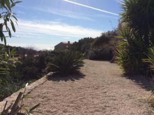 Apartment Les Palmiers by Interhome