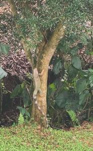 Complete house for 6 people