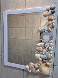 Quarto triplo solteiros Nereidas bwc compartilhado