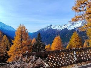 La Tanière des Cimes Sauna privé