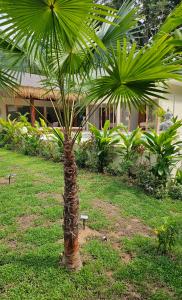 Taman Villa - Luxury Tropical Villa