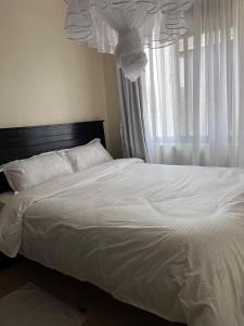 Modern cozy one bedroom apartment