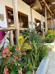 Bouganville Bungalow Nungwi